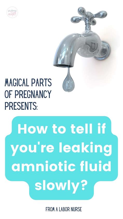 can amniotic fluid leak and then stop|After Your Water Breaks, How Long Can Baby。